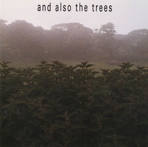 And Also the Trees by And Also the Trees (Album, Post-Punk