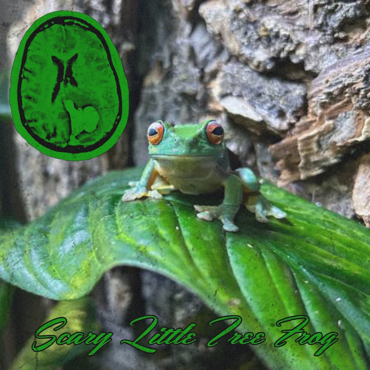 Scary Little Tree Frog by Bombinatoridae (EP, Gorenoise): Reviews ...
