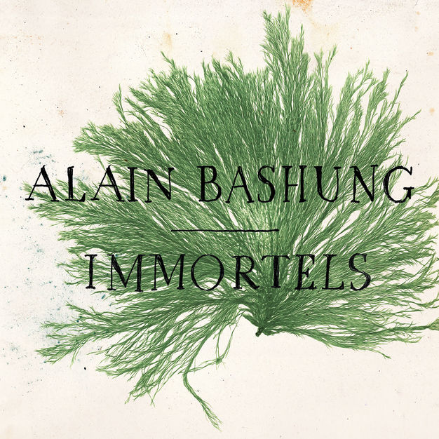 Immortels by Alain Bashung (Single, Chanson): Reviews, Ratings, Credits ...