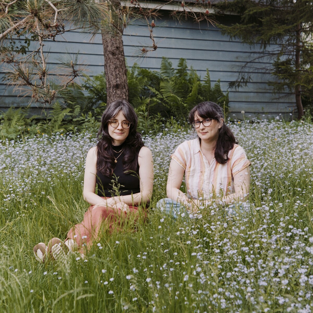 The Golden Goose by Adrianna Ciccone & Ellen Gibling (Single): Reviews ...