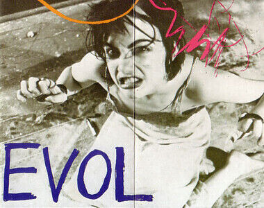 EVOL by Sonic Youth (Album; Blast First; BFFP 4c): Reviews