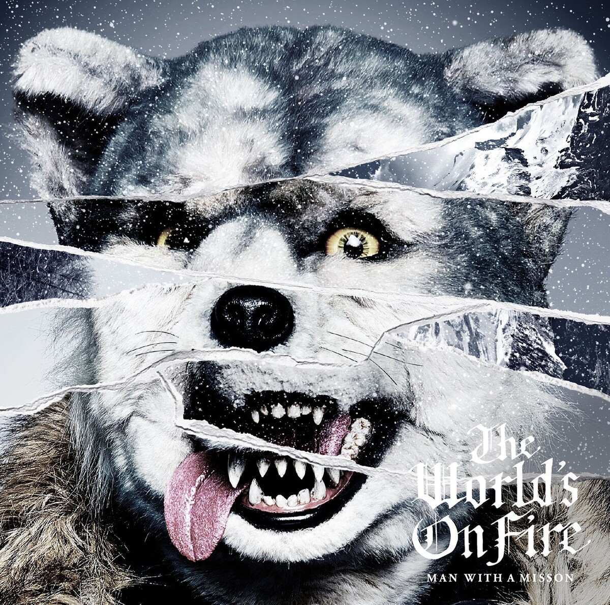 MAN WITH A MISSION Albums: songs, discography, biography