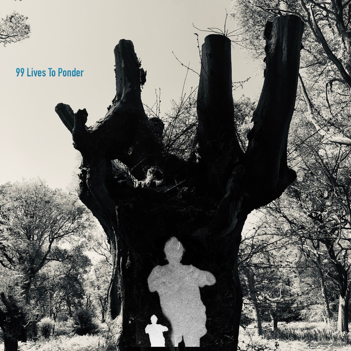 99 Lives to Ponder (The Tear Garden Anthology Part 2 - 1990-99) by The ...
