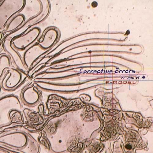 Corrective Errors: Remix of 舟 by P-Model (Album, Techno): Reviews 