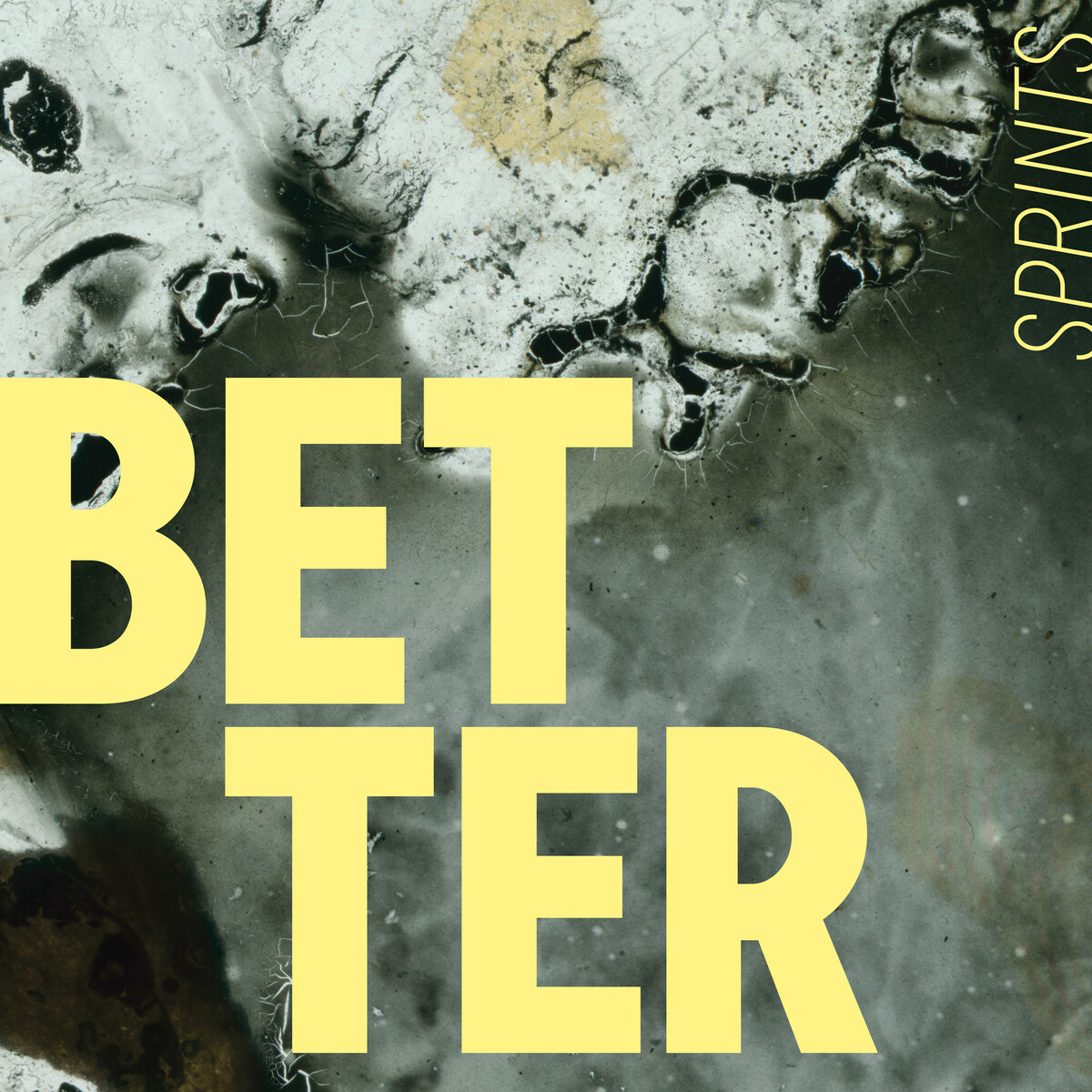 Better by Sprints (Single, Indie Rock): Reviews, Ratings, Credits, Song ...