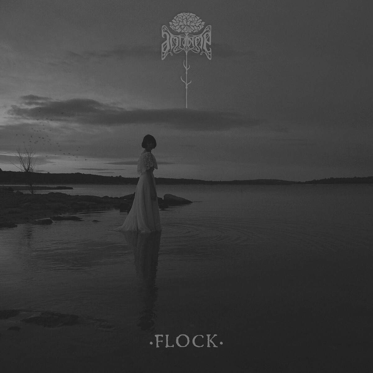 Flock by Antinoë (Single): Reviews, Ratings, Credits, Song list - Rate ...