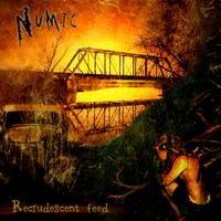Numic Albums: songs, discography, biography, and listening guide - Rate ...
