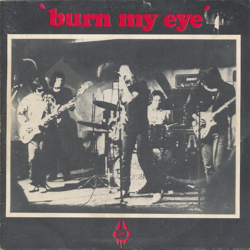 RADIO BIRDMAN 2LP+7 PUNK POWERPOP GARAGE