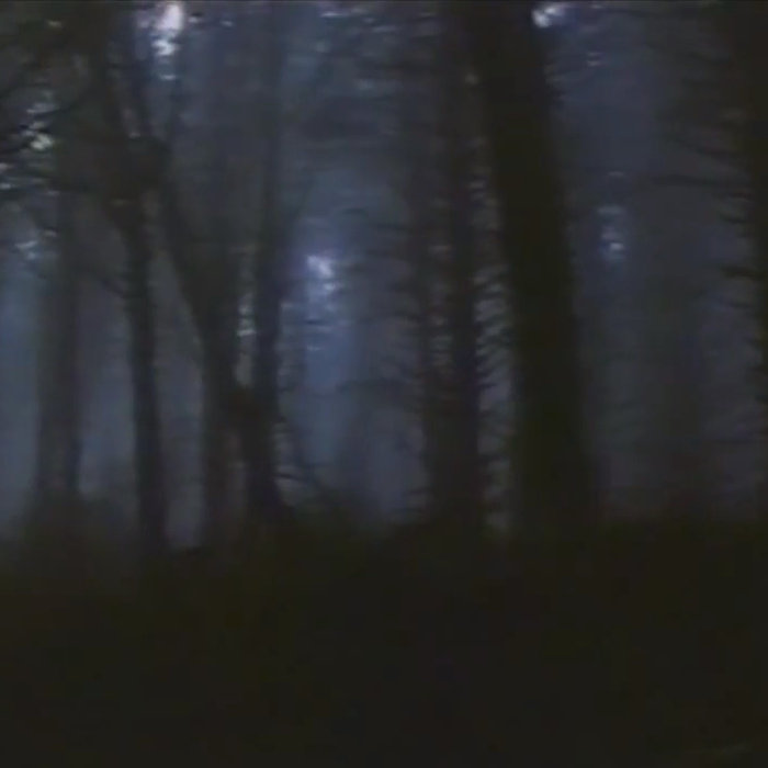 The Dark Forest 最も暗い夜 by 暗い自然 [Dark Nature] (Album