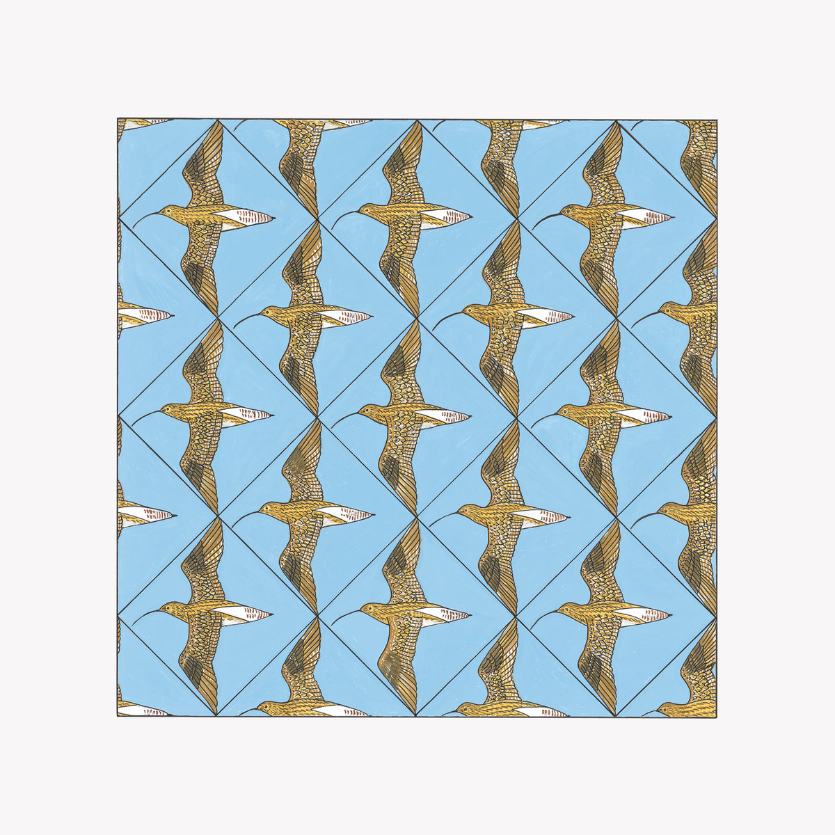 Simmerdim: Curlew Sounds by Merlyn Driver (Album): Reviews, Ratings ...