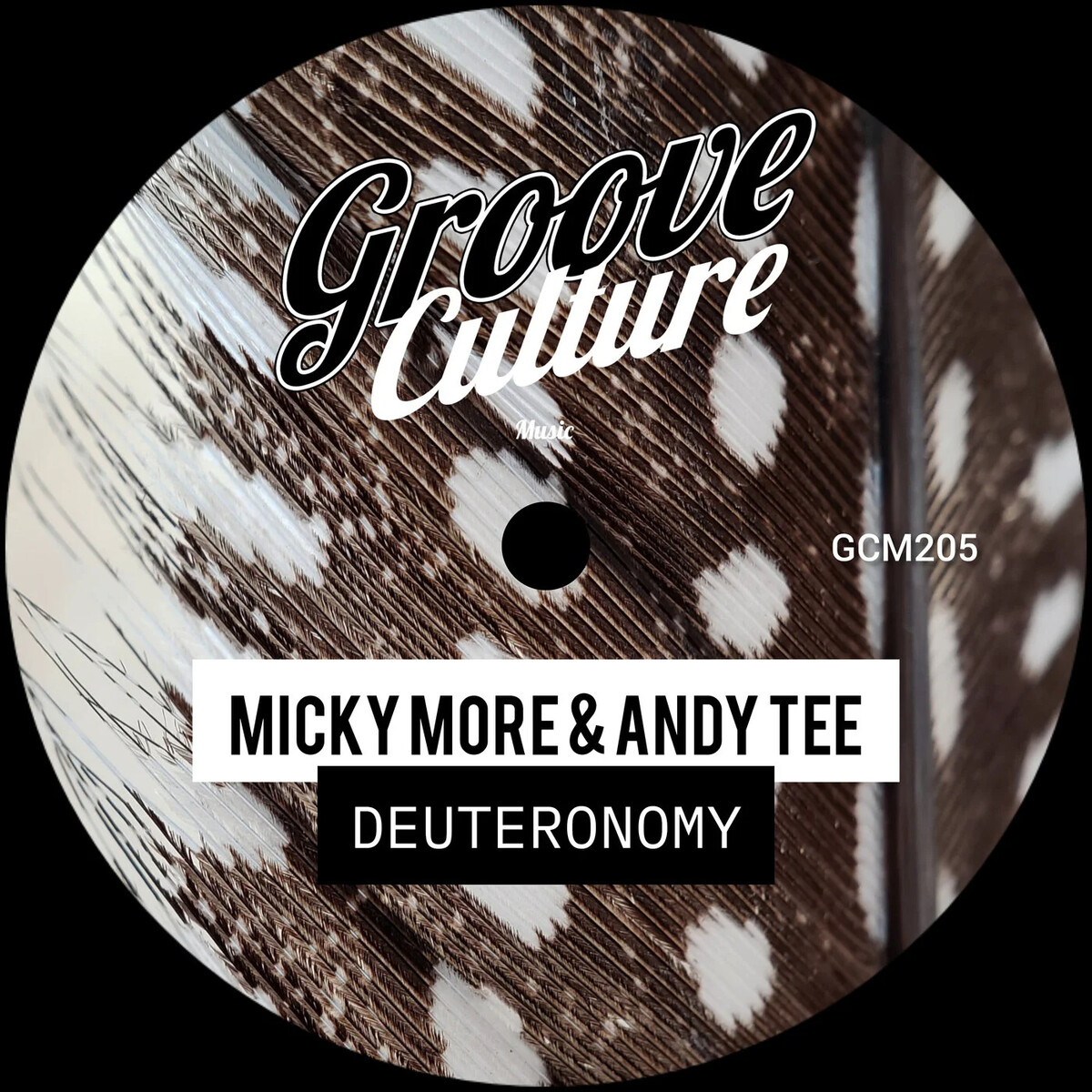 Andy Tee Albums: songs, discography, biography, and listening guide ...