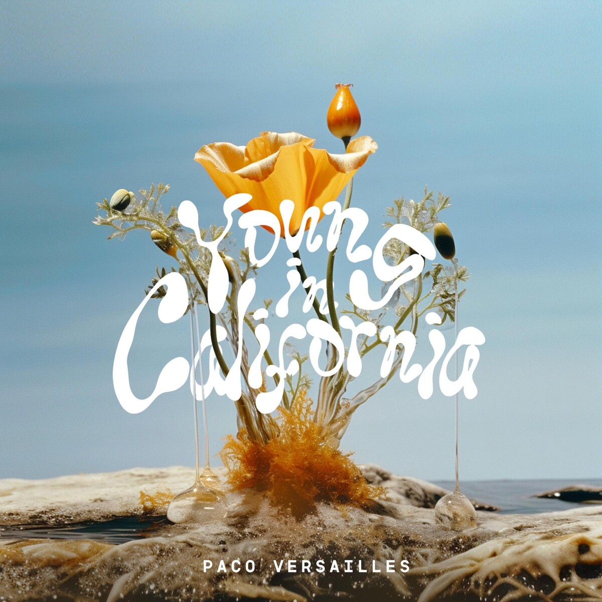 Young in California by Paco Versailles (Single) Reviews, Ratings