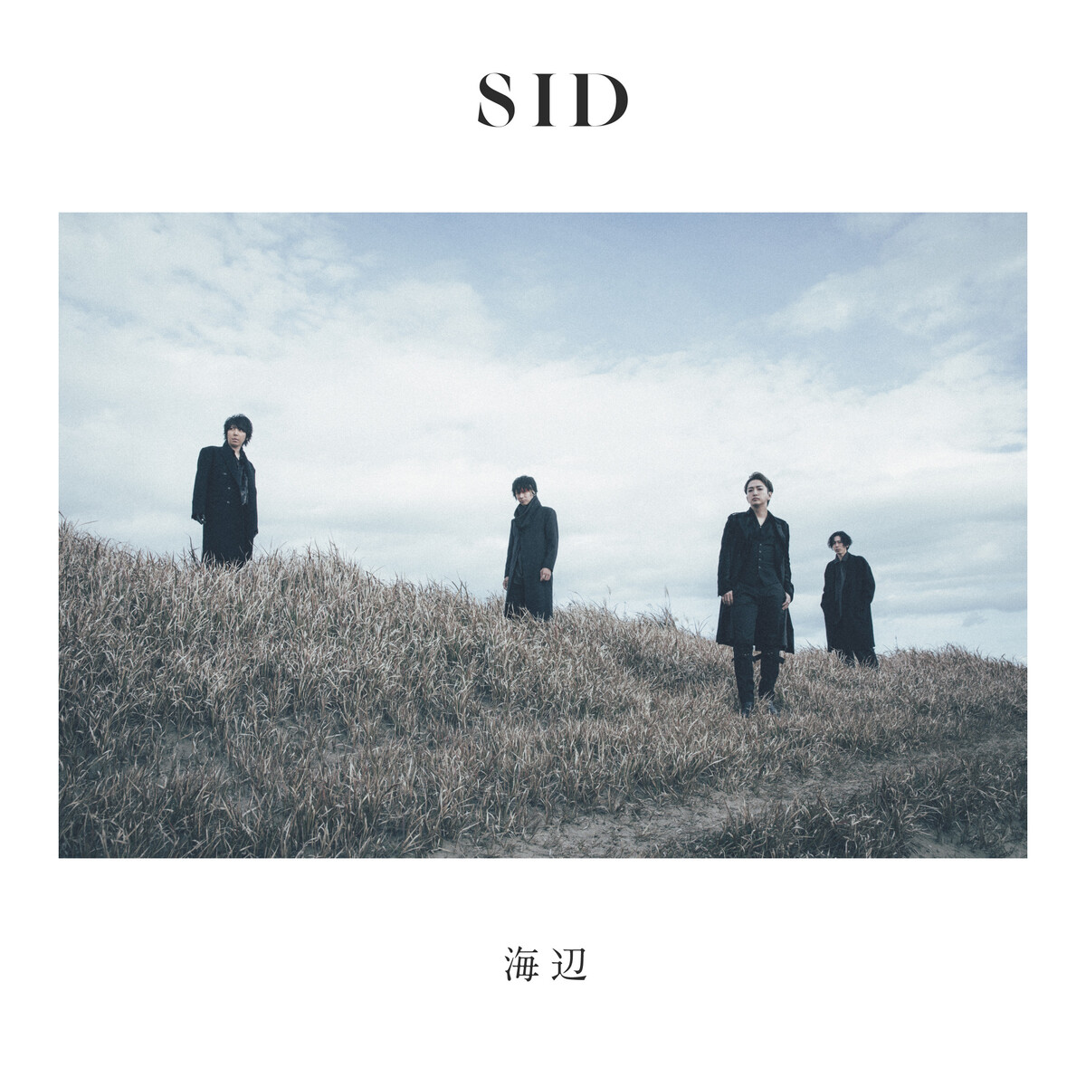 Best Soft Visual albums of the 2020s - Rate Your Music