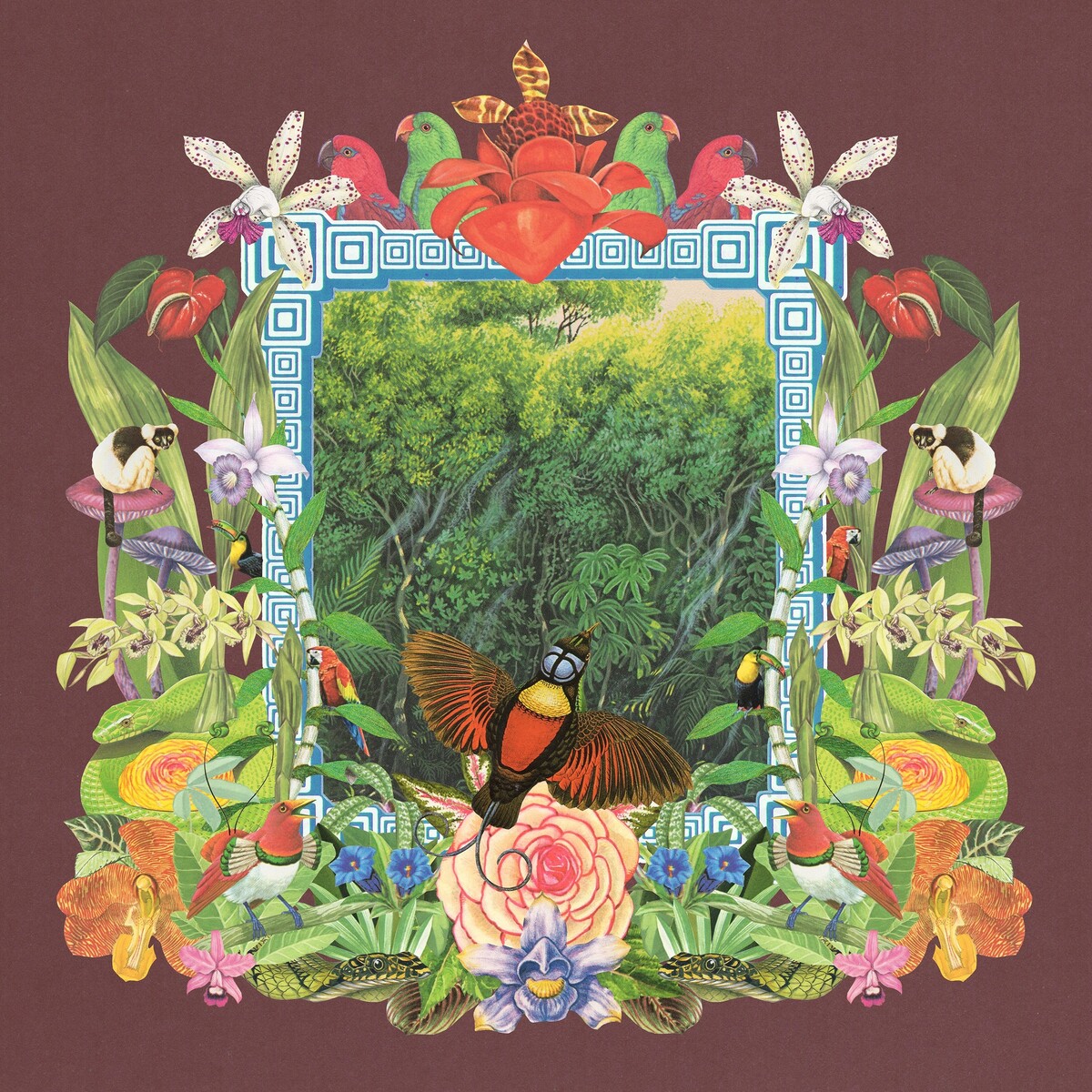 Botanica Dream by Monster Rally (Album, Instrumental Hip Hop): Reviews ...