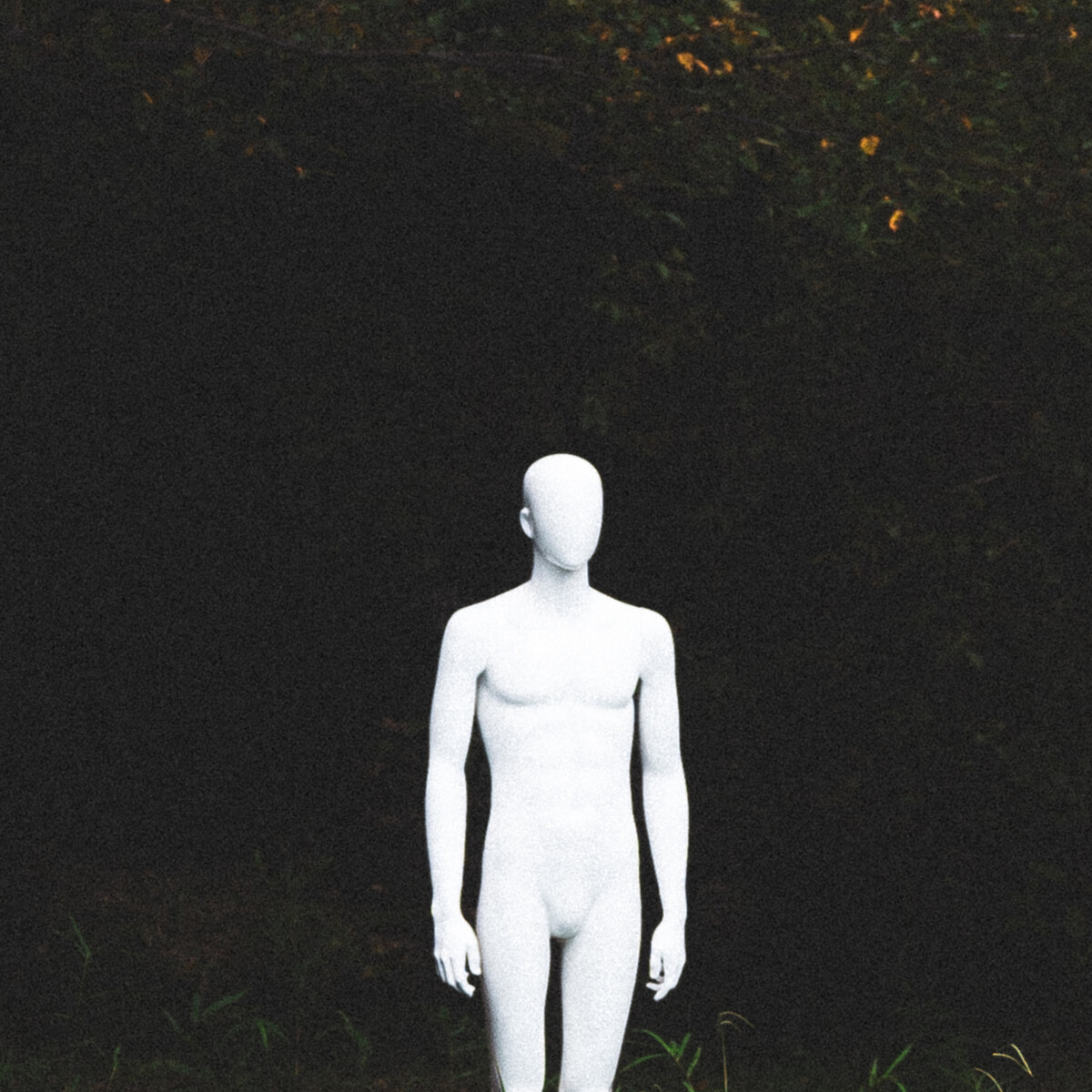 Best JRock albums of the 2020s Rate Your Music