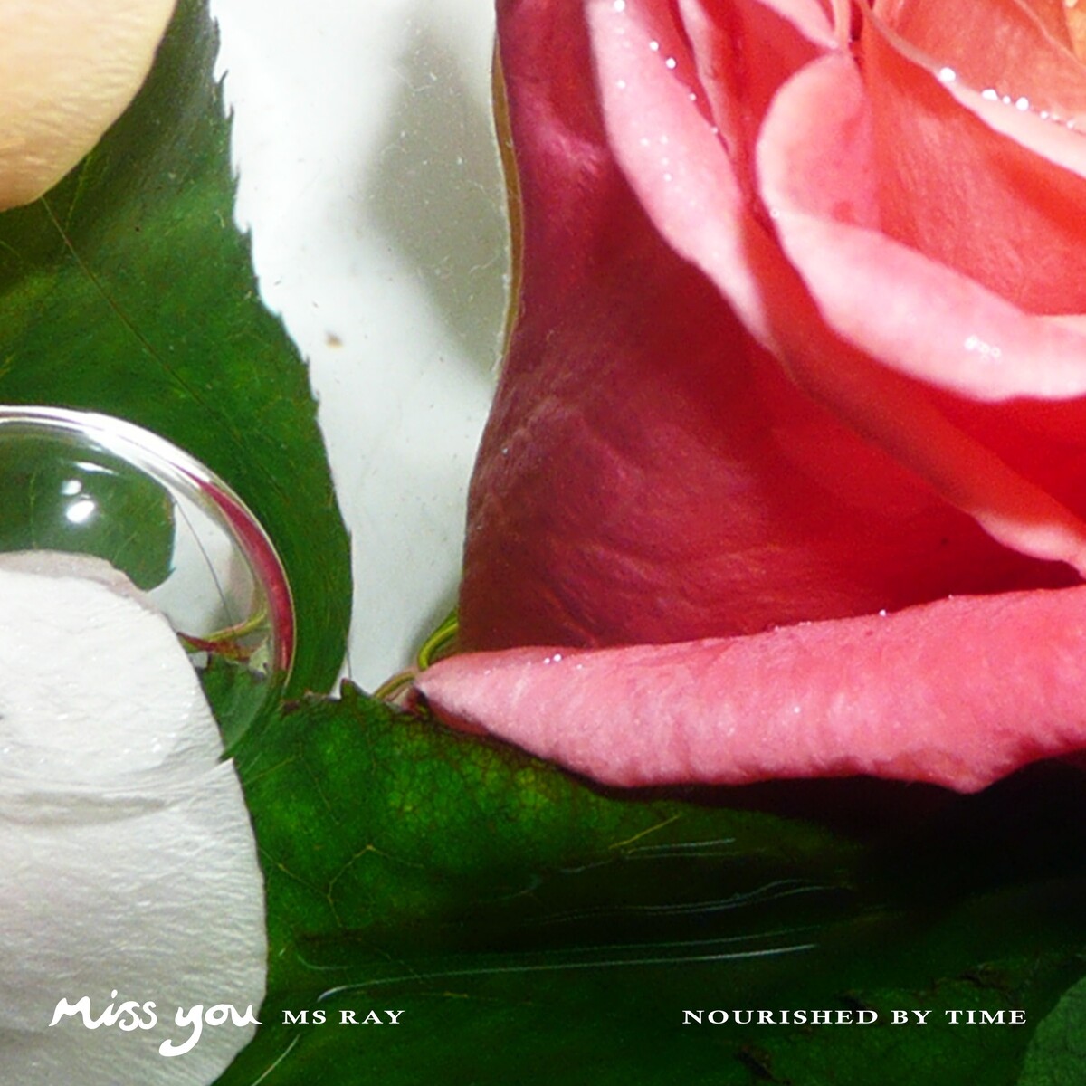 Music credits for Ms Ray : 6 performances listed under vocals, composer ...