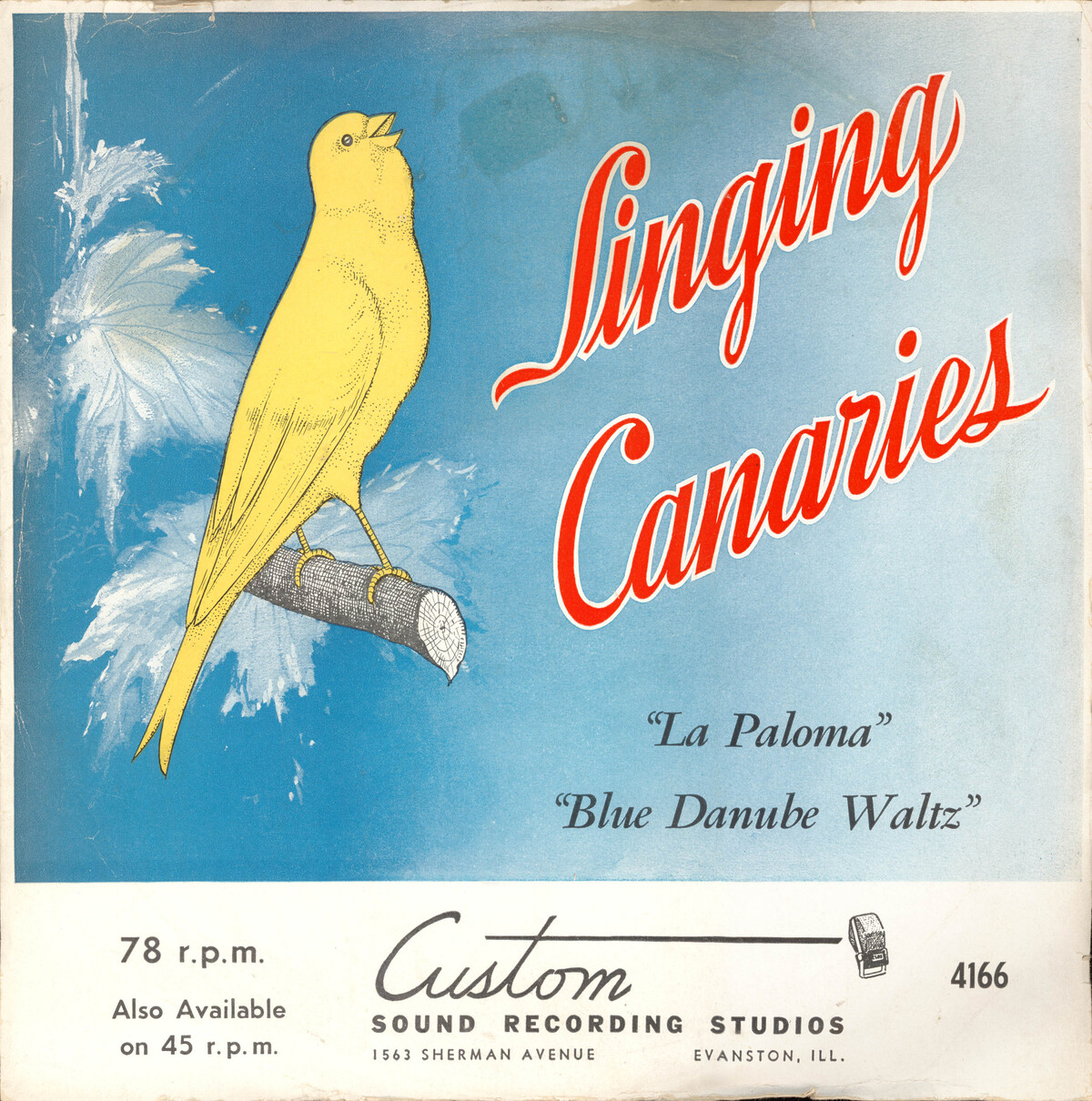 Picture of La Paloma / Blue Danube Waltz by Singing Canaries (Single; Custom Bird ...