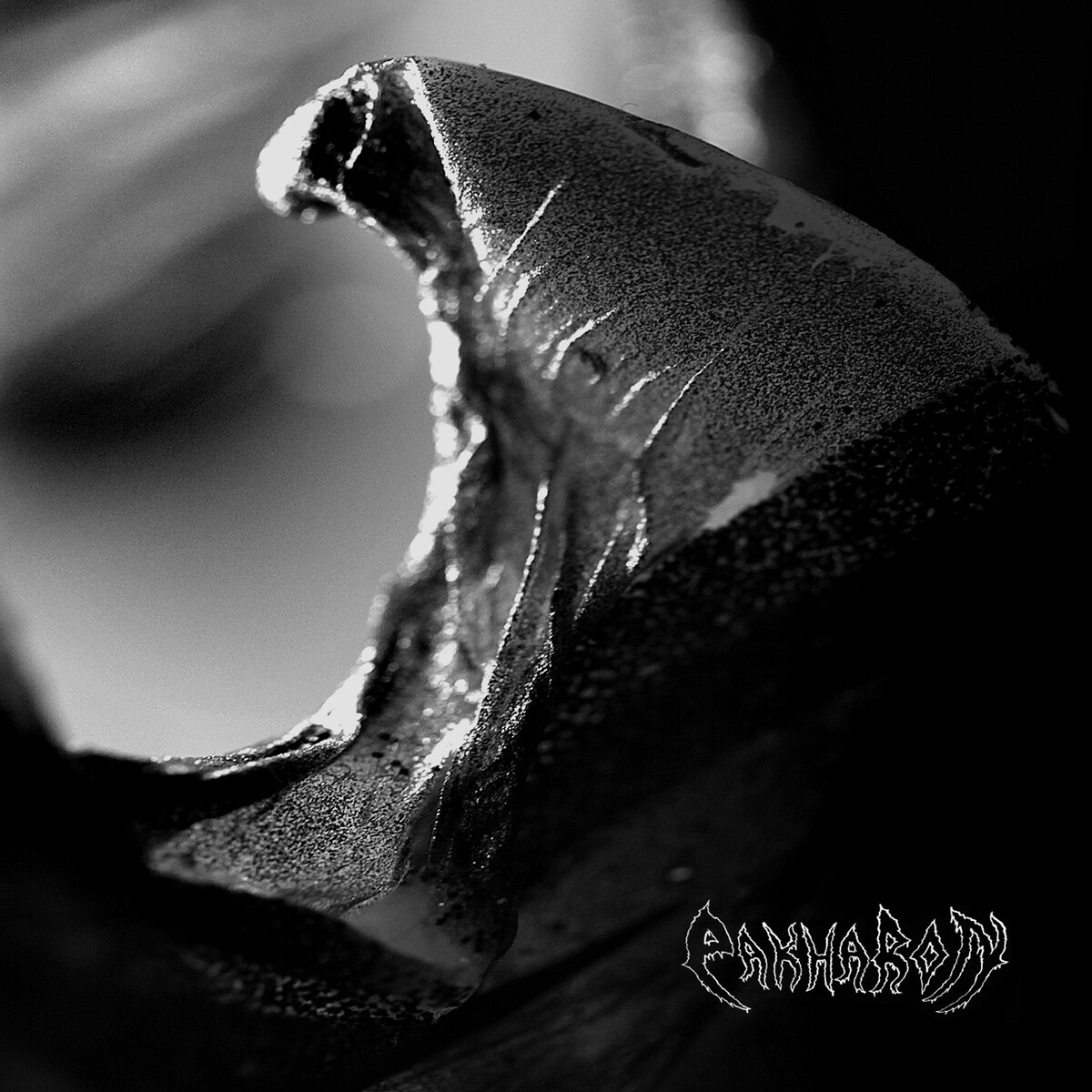 Beneath the Frozen Ground She Cries by Pakharon (Single) Reviews