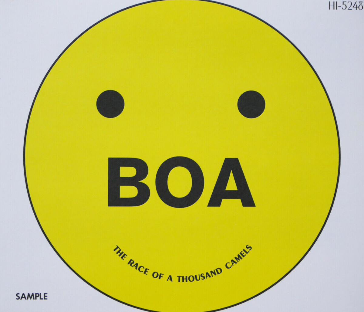 Boa CD THE RACE OF A THOUSAND CAMELS anime Lain Opening