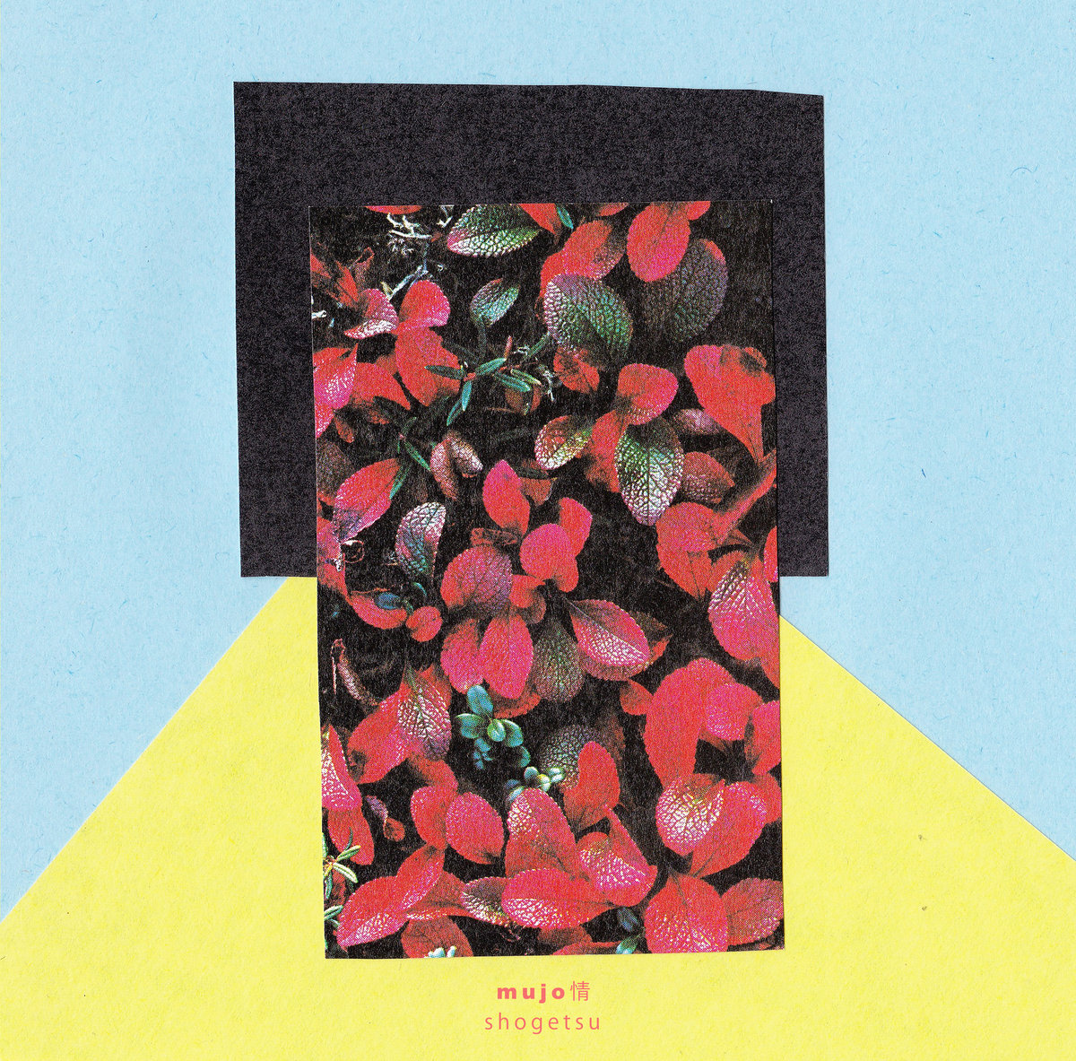 MUJO情 Albums: songs, discography, biography, and listening guide - Rate ...