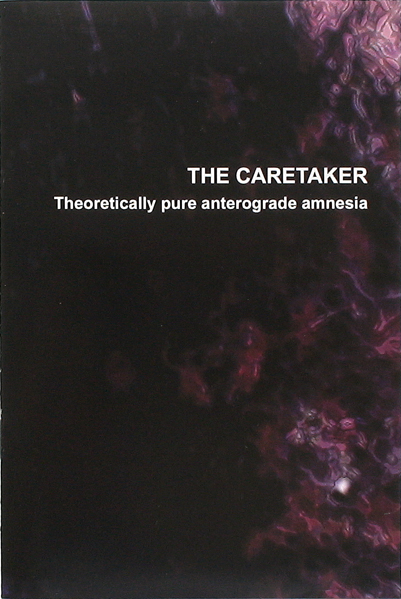 Theoretically Pure Anterograde Amnesia by The Caretaker