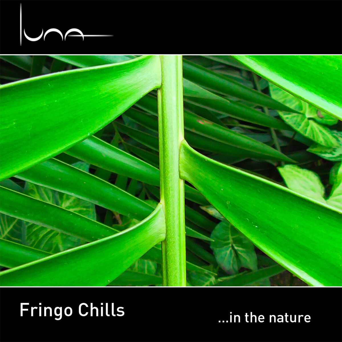 ...In the Nature by Fringo Chills (Album): Reviews, Ratings, Credits ...