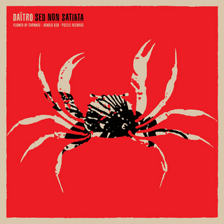 Daïtro / Sed Non Satiata by Daïtro / Sed Non Satiata (Album 