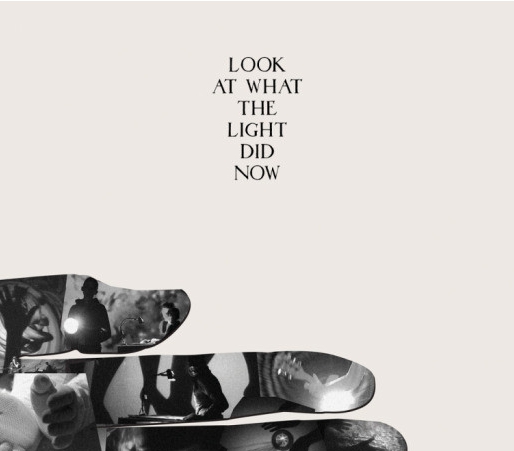 大人気新品セール ブ Look Reviews (Video): Feist by Now Did Light the What at ミュージック