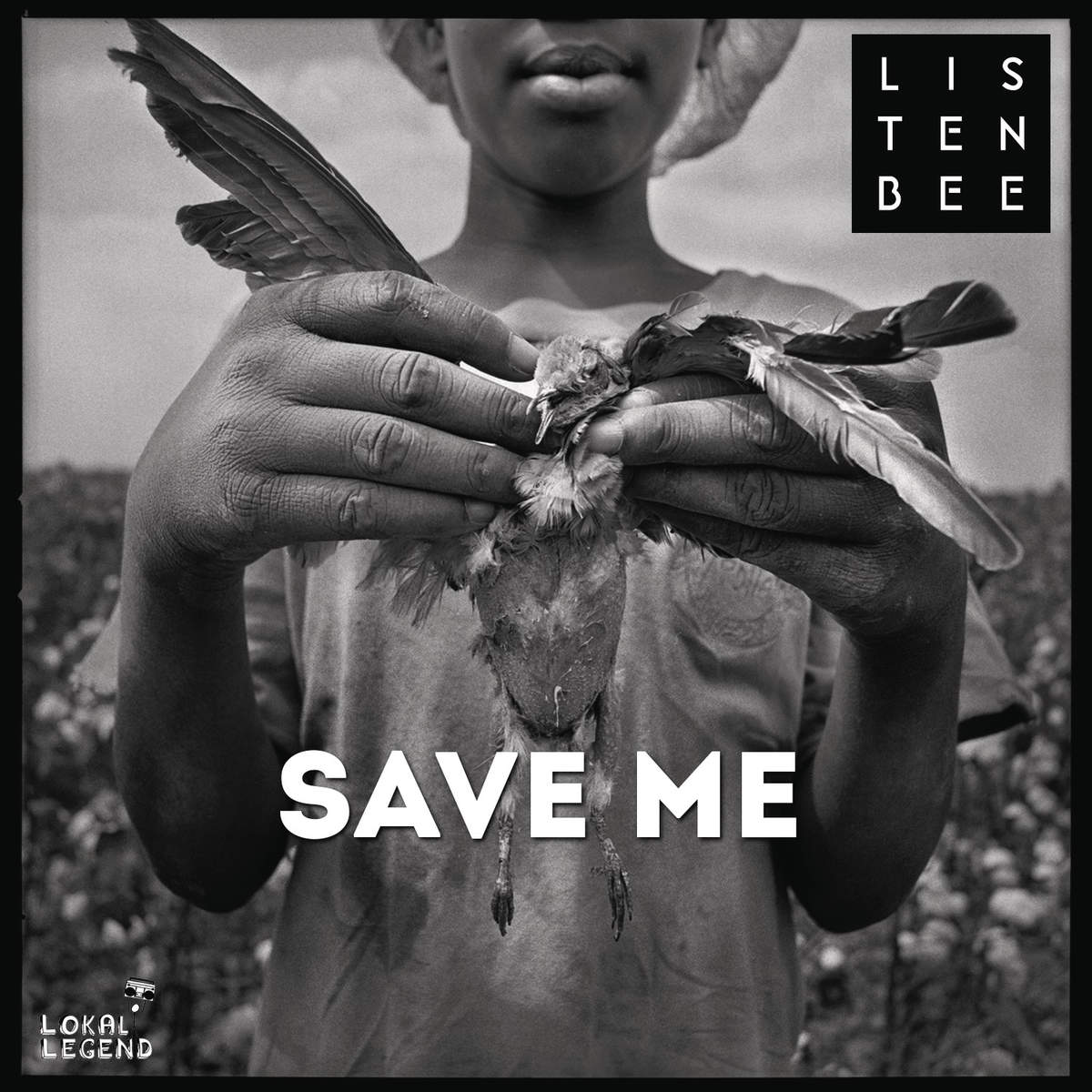 Listenbee Albums: songs, discography, biography, and listening guide ...