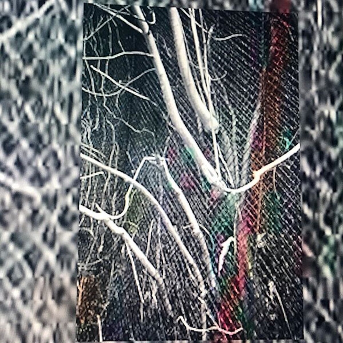 Need by Døves (Single, Trap): Reviews, Ratings, Credits, Song list ...