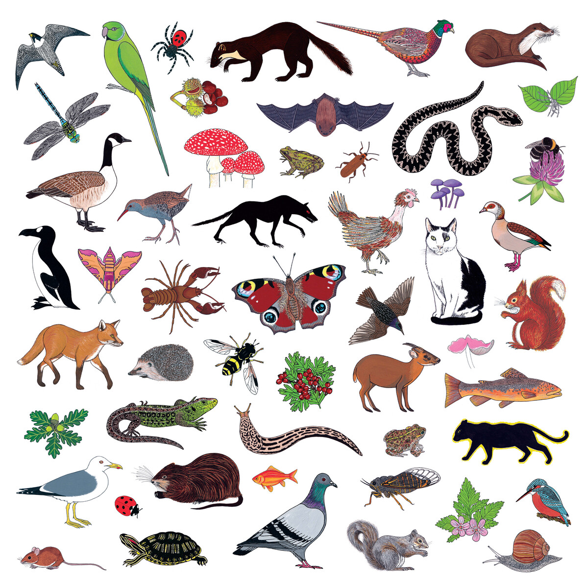 Modern Nature Albums: songs, discography, biography, and listening ...