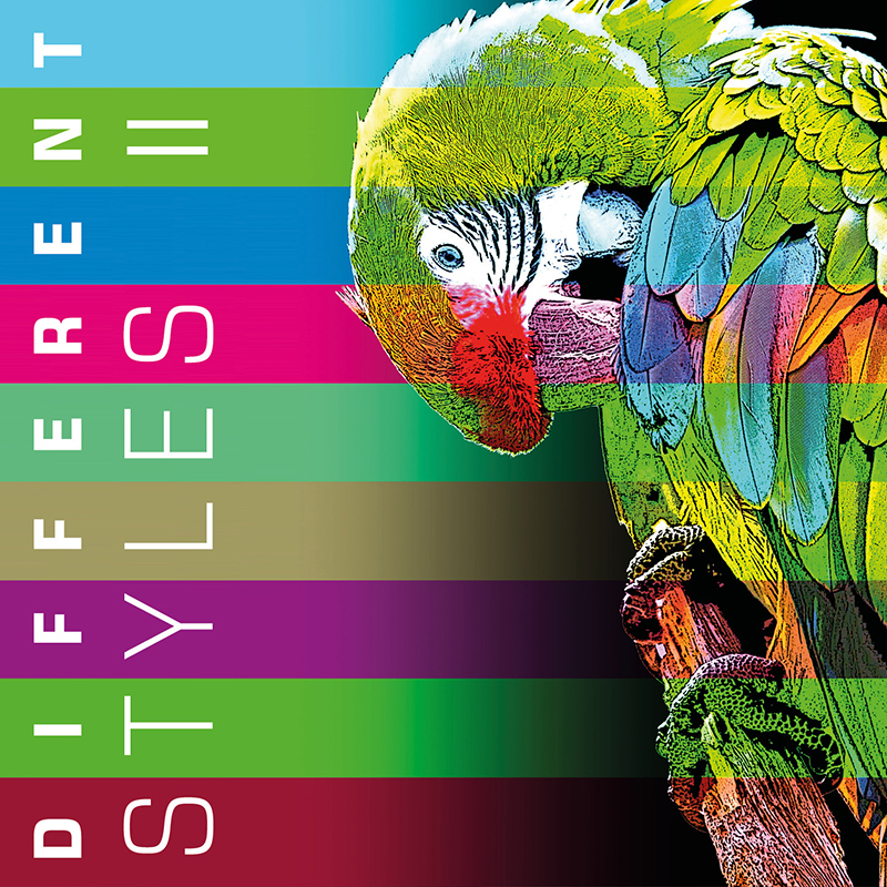 Different Styles II by Various Artists (Album): Reviews, Ratings ...