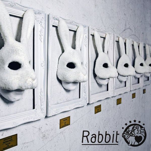 Rabbit Albums: songs, discography, biography, and listening guide ...