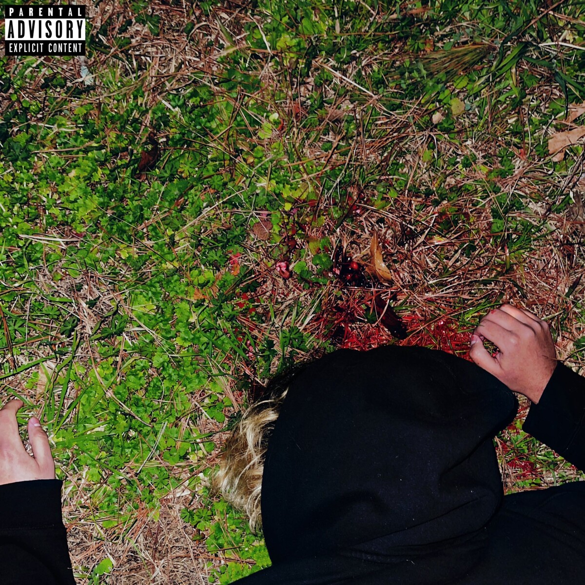 Best Emo Rap albums of 2024 - Rate Your Music