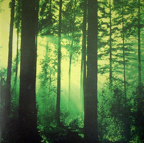 Forests of Witchery by Thy Serpent (Album, Melodic Black Metal