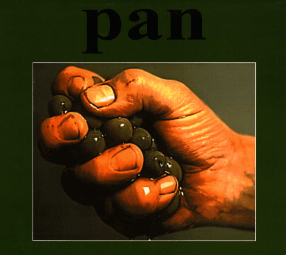 Pan by Pan (Album; Second Life; SLCD-017): Reviews, Ratings, Credits ...