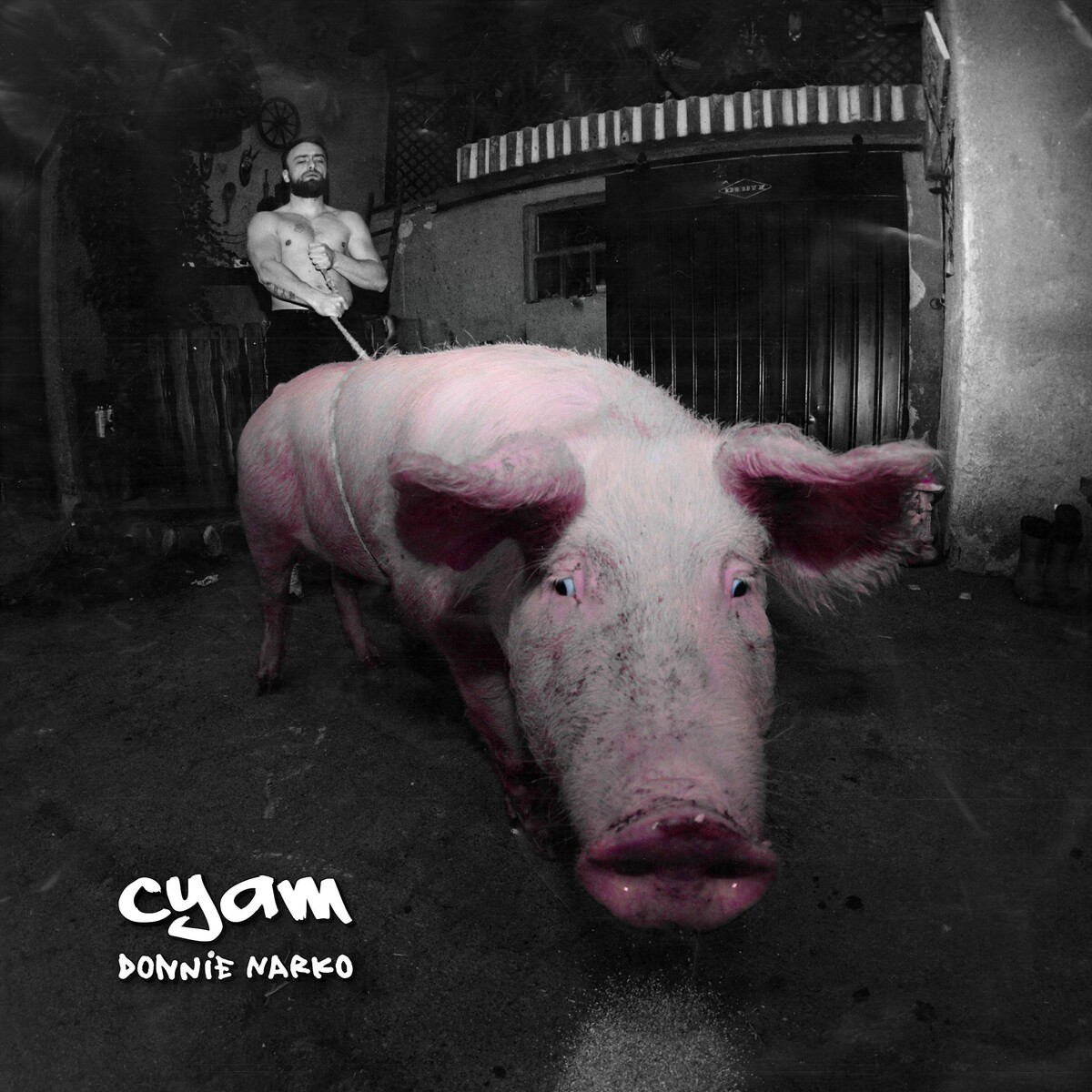 Donnie Narko by Cyam (Album, Hardcore Hip Hop): Reviews, Ratings ...