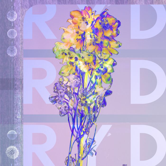 RYD Albums: songs, discography, biography, and listening guide - Rate ...