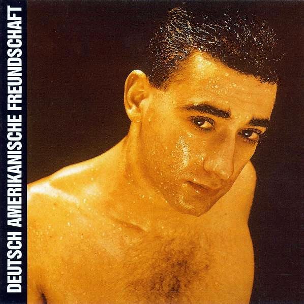 Alles ist gut by Deutsch Amerikanische Freundschaft (Album