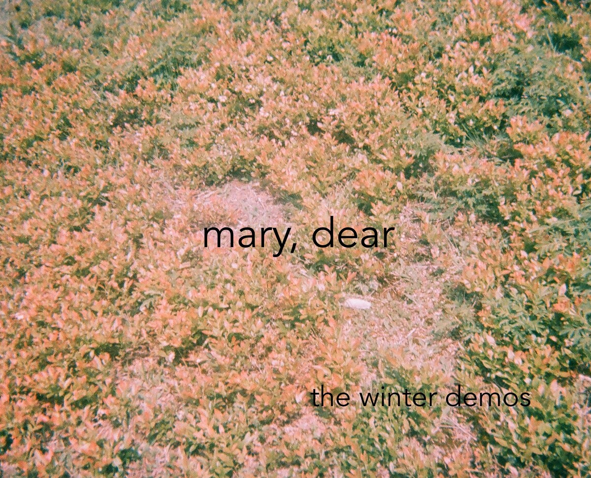 Mary Dear Albums: songs, discography, biography, and listening guide ...