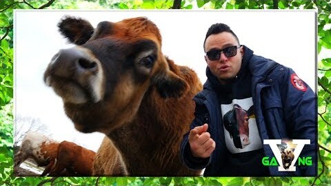 Vegan Rapper's Delight by Gaia's Eye (Music video): Reviews, Ratings ...
