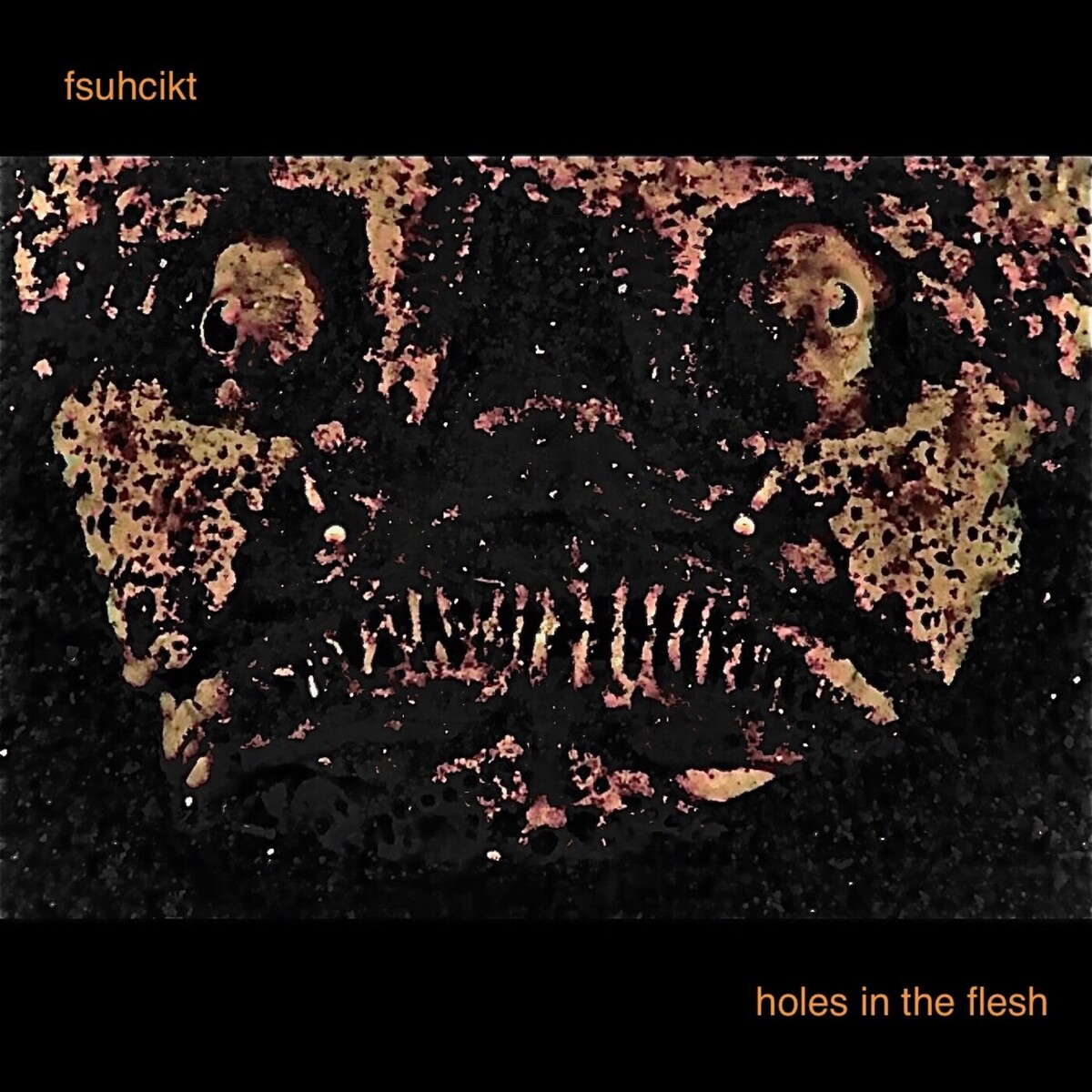 Holes in the Flesh by fsuhcikt Album Reviews Ratings Credits Song list Rate Your Music
