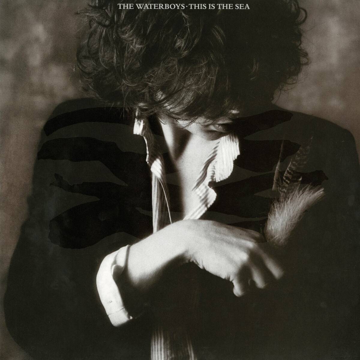 This Is the Sea by The Waterboys (Album, Big Music): Reviews