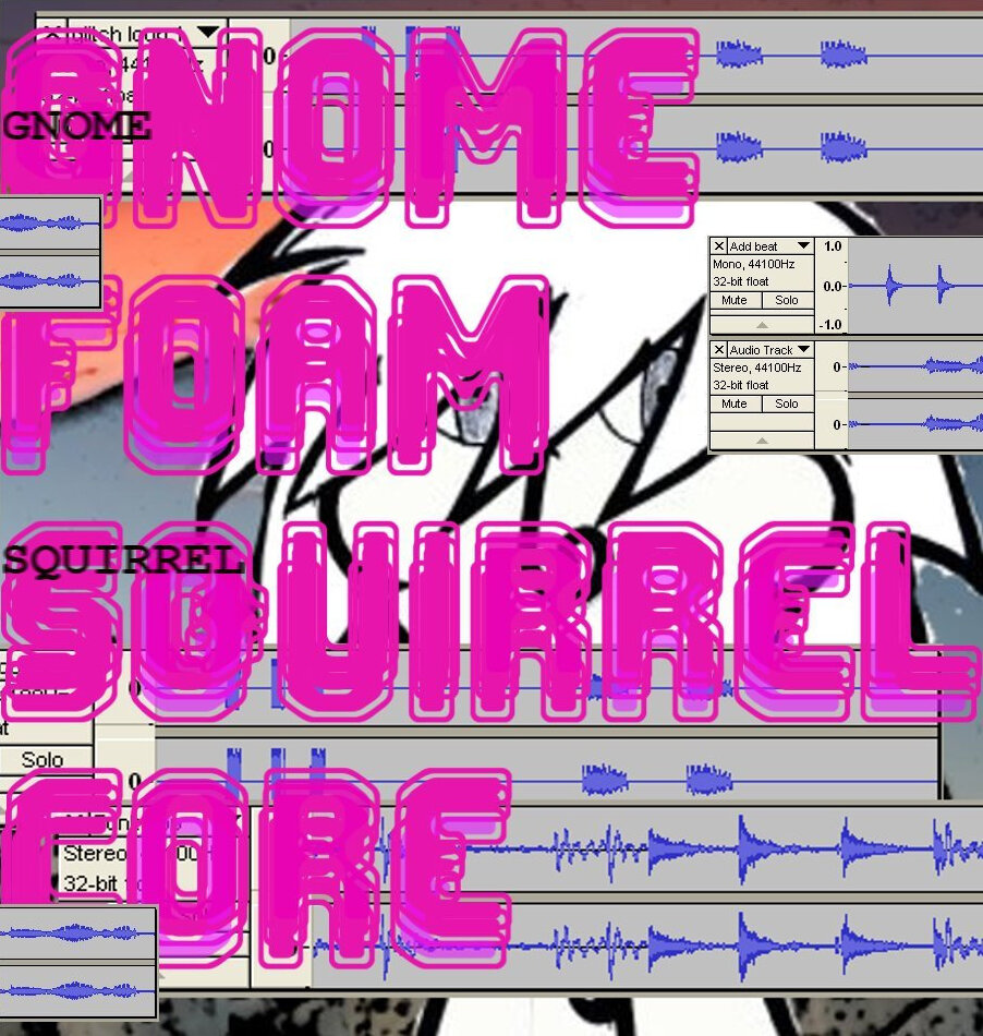 Squirrelcore by Gnomefoam (Album): Reviews, Ratings, Credits, Song list ...