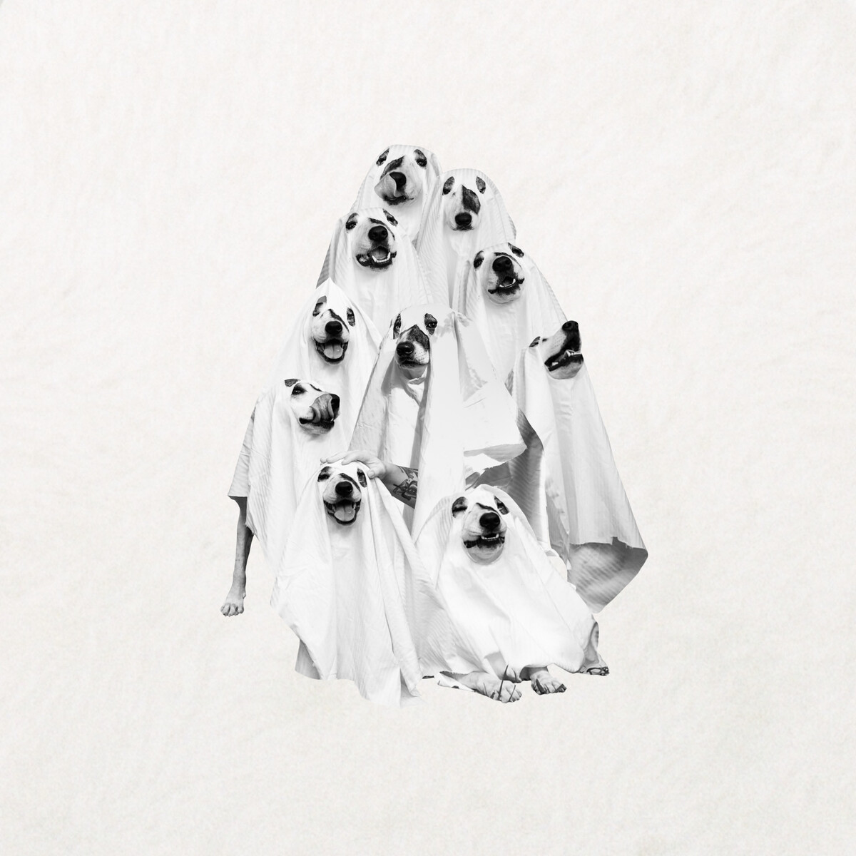 Ghost Mutt Albums: songs, discography, biography, and listening guide ...