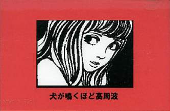 新宿ゲバルト Albums: songs, discography, biography, and