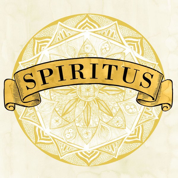 Spiritus by Lisa Mitchell (Single, Indie Pop): Reviews, Ratings ...