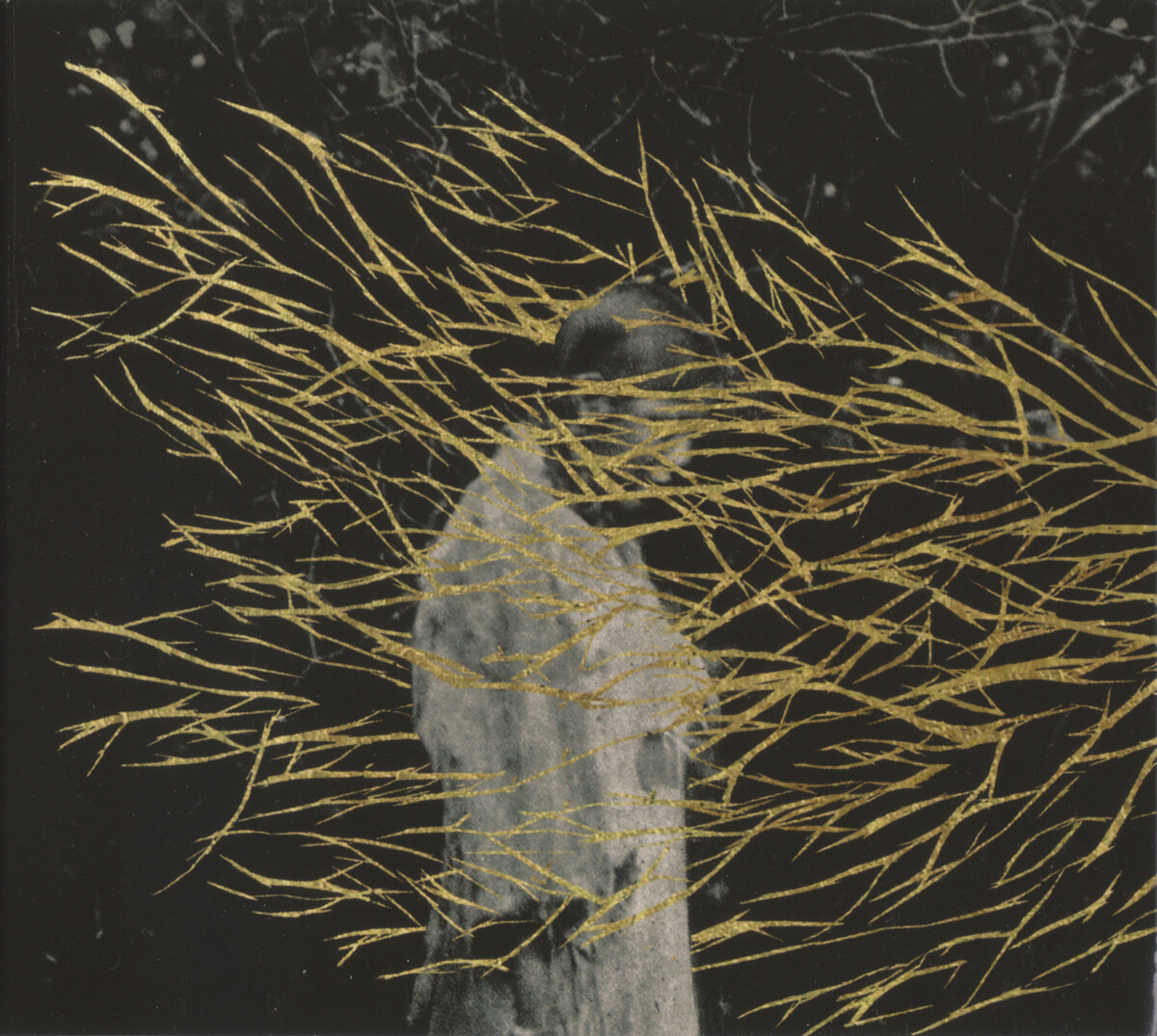 Engravings by Forest Swords (Album, Ambient Dub): Reviews, Ratings ...