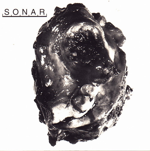 Sonar by Sonar (Album, Industrial): Reviews, Ratings, Credits