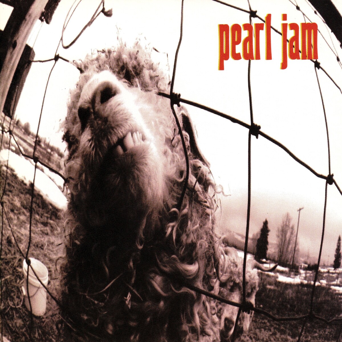 Yarling Best yarling albums of 1993 - Rate Your Music